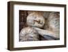 Laying Buddha in Polonnaruwa Temple - Medieval Capital of Ceylon,Unesco World Heritage Site-Maugli-l-Framed Photographic Print