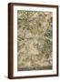 Brown Frame