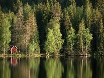 Sauna House at Edge of Forested Lake-Layne Kennedy-Framed Photographic Print