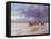Laytown Races-Paul Gribble-Framed Stretched Canvas