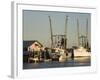 Lazaretto Creek Fishing Port, Tybee Island, Savannah, Georgia-Richard Cummins-Framed Photographic Print