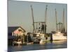 Lazaretto Creek Fishing Port, Tybee Island, Savannah, Georgia-Richard Cummins-Mounted Photographic Print