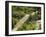 Lazaridis (Kontodimos) Bridge, Dating from 1753, Kipi, Zagoria Mountains, Epiros, Greece, Europe-Rolf Richardson-Framed Photographic Print