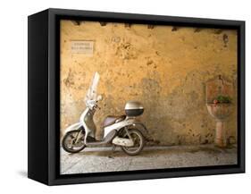 Lazise, Lago Di Garda, Veneto, Italy-Demetrio Carrasco-Framed Stretched Canvas