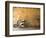 Lazise, Lago Di Garda, Veneto, Italy-Demetrio Carrasco-Framed Photographic Print