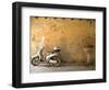 Lazise, Lago Di Garda, Veneto, Italy-Demetrio Carrasco-Framed Photographic Print