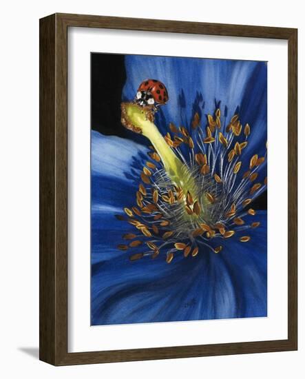 Lazuline-Barbara Keith-Framed Giclee Print