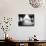 Lazy Afternoon-Josh Adamski-Mounted Photographic Print displayed on a wall
