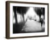 Lazy Afternoon-Josh Adamski-Framed Photographic Print