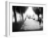 Lazy Afternoon-Josh Adamski-Framed Photographic Print