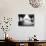 Lazy Afternoon-Josh Adamski-Stretched Canvas displayed on a wall