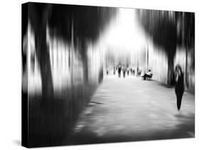 Lazy Afternoon-Josh Adamski-Stretched Canvas