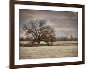 Lazy Autumn Day-Jai Johnson-Framed Giclee Print