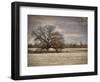 Lazy Autumn Day-Jai Johnson-Framed Premium Giclee Print