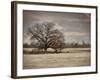 Lazy Autumn Day-Jai Johnson-Framed Giclee Print