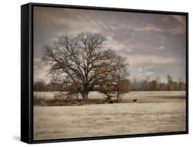 Lazy Autumn Day-Jai Johnson-Framed Stretched Canvas