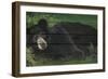 Lazy Bear Ranch-Penny Wagner-Framed Giclee Print