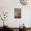 Lazy Bird 1-Leah Saulnier-Giclee Print displayed on a wall