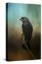 Lazy Bird-Jai Johnson-Stretched Canvas