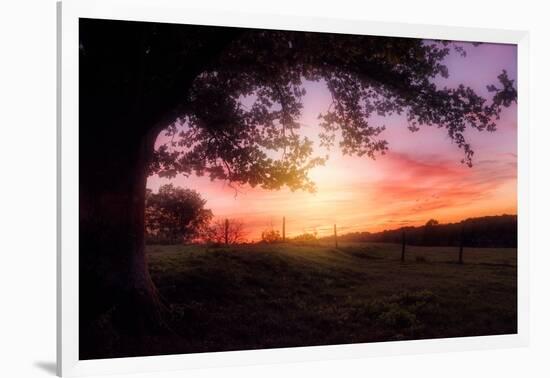 Lazy Birds-Philippe Sainte-Laudy-Framed Photographic Print