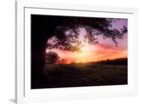 Lazy Birds-Philippe Sainte-Laudy-Framed Photographic Print