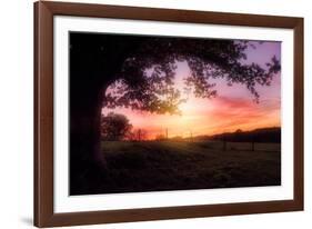 Lazy Birds-Philippe Sainte-Laudy-Framed Photographic Print