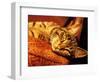 Lazy Cat on the Sofa-Winfred Evers-Framed Photographic Print