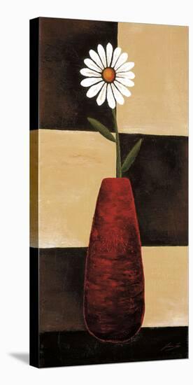 Lazy Daisy II-Jocelyne Anderson-Tapp-Stretched Canvas