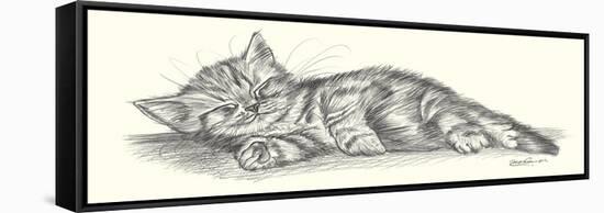 Lazy Days III-Steve O'Connell-Framed Stretched Canvas