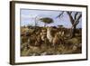 Lazy in the Grass-Trevor V. Swanson-Framed Giclee Print