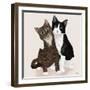 Lazy Sunday Cat I-Tara Royle-Framed Art Print