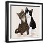 Lazy Sunday Cat I-Tara Royle-Framed Art Print