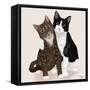 Lazy Sunday Cat I-Tara Royle-Framed Stretched Canvas