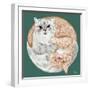 Lazy Sunday Cat III-Tara Royle-Framed Art Print