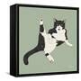 Lazy Sunday Cat V-Tara Royle-Framed Stretched Canvas