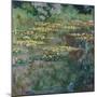 Le Bassin, 1904-Claude Monet-Mounted Giclee Print