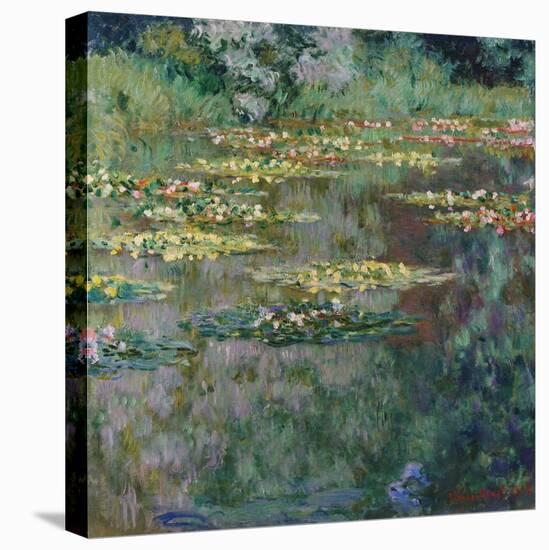 Le Bassin, 1904-Claude Monet-Stretched Canvas