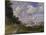 Le Bassin d'Argenteuil, c.1872-Claude Monet-Mounted Giclee Print