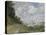 Le bassin d'Argenteuil-Claude Monet-Stretched Canvas