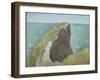 Le Bec Du Hoc, Grandcamp-Georges Seurat-Framed Giclee Print