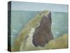 Le Bec Du Hoc, Grandcamp-Georges Seurat-Stretched Canvas