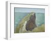 Le Bec Du Hoc, Grandcamp-Georges Seurat-Framed Giclee Print