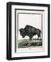 Le Bison Illustration-null-Framed Giclee Print