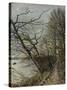Le Bois de Roches, Veneux-Nadon-Alfred Sisley-Stretched Canvas