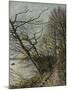 Le Bois de Roches, Veneux-Nadon-Alfred Sisley-Mounted Giclee Print