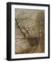 Le Bois de Roches, Veneux-Nadon-Alfred Sisley-Framed Giclee Print