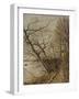 Le Bois de Roches, Veneux-Nadon-Alfred Sisley-Framed Giclee Print
