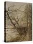 Le Bois de Roches, Veneux-Nadon-Alfred Sisley-Stretched Canvas