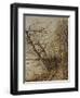 Le Bois de Roches, Veneux-Nadon-Alfred Sisley-Framed Giclee Print