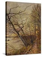 Le Bois Des Roches, Veneux-Nadon, 1880-Alfred Sisley-Stretched Canvas